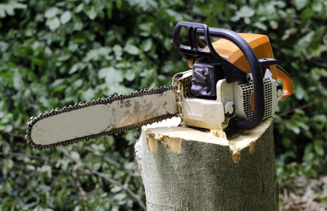 Picture of a chainsaw used for stump removal and stump grinding