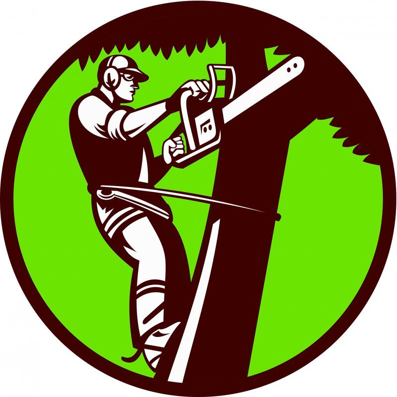 This is a picture of the logo of Folsom Tree Service